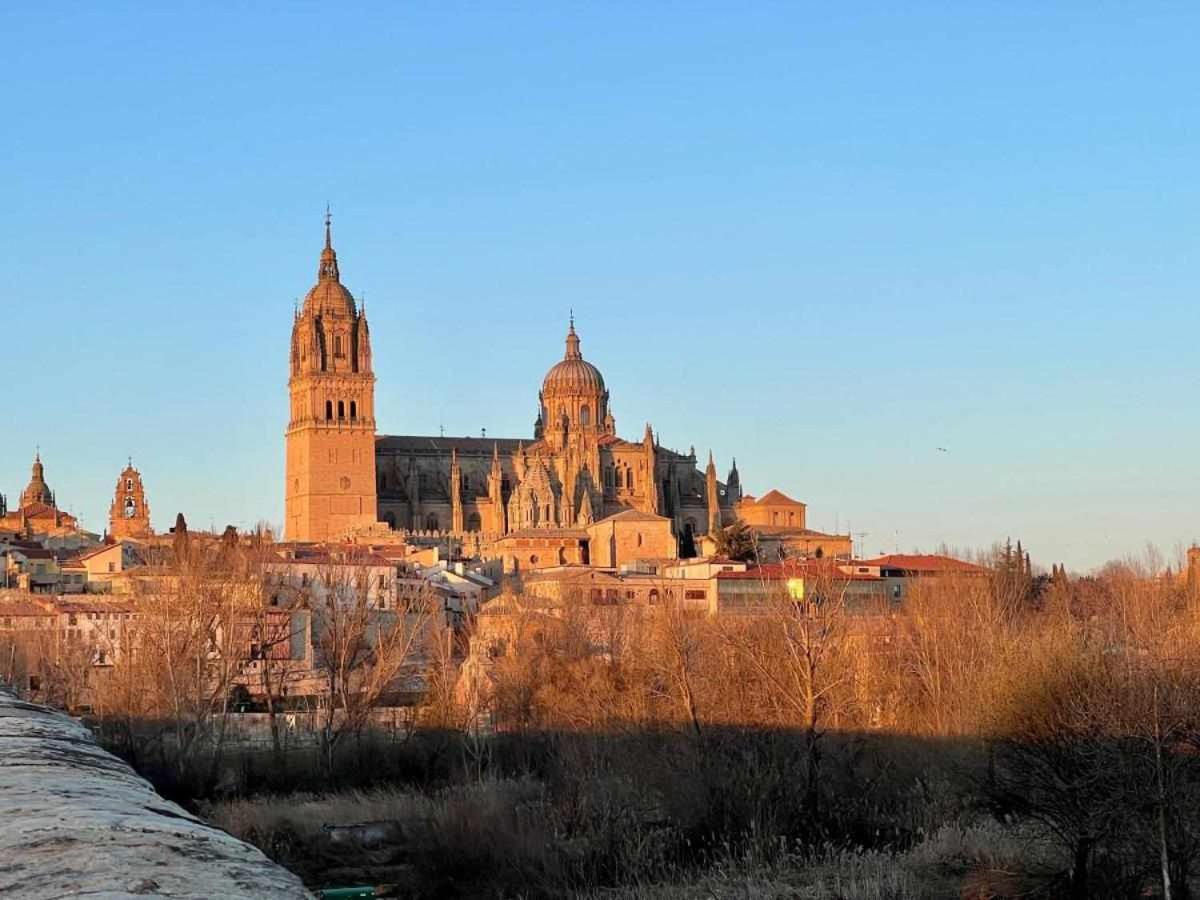 Almamater Salamanca Bagian luar foto