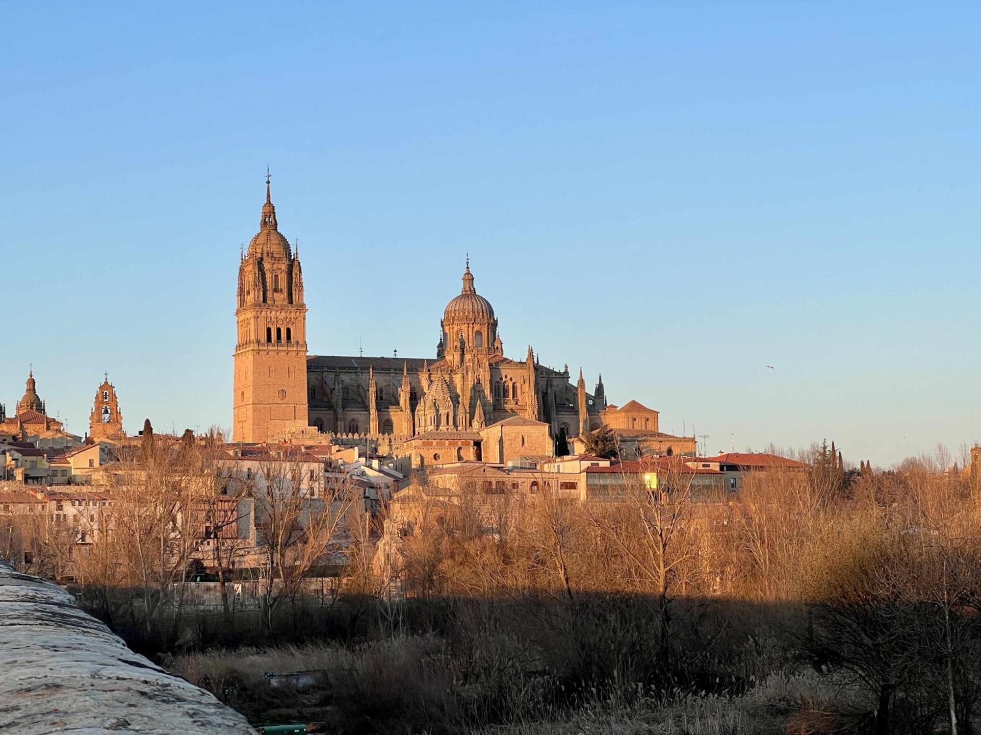 Almamater Salamanca Bagian luar foto